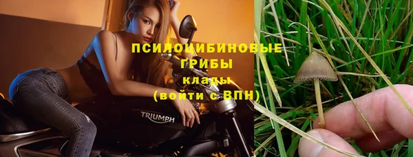 стаф Абдулино