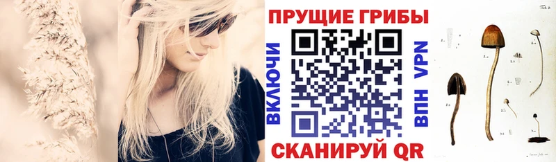Галлюциногенные грибы мухоморы  hydra ТОР  Холмск 